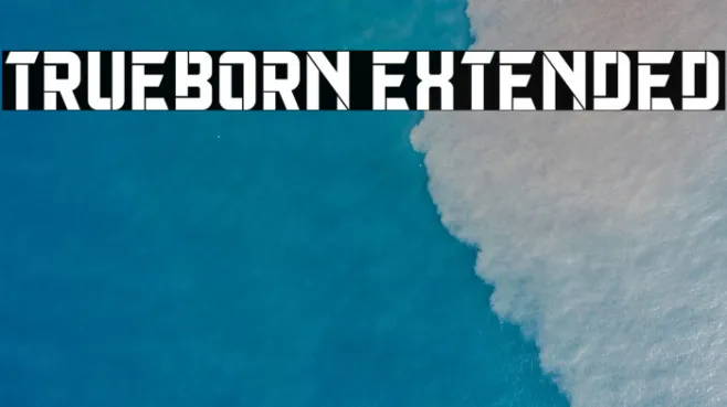 Trueborn Extended Example 3