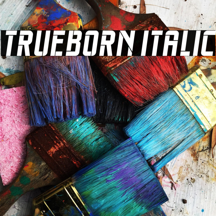 Trueborn Italic Example 1