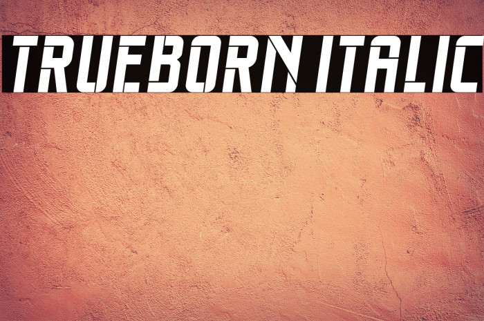 Trueborn Italic Example 3