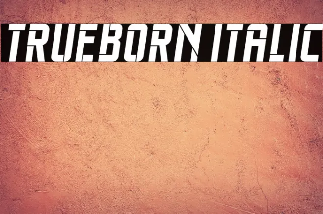 Trueborn Italic Example 3
