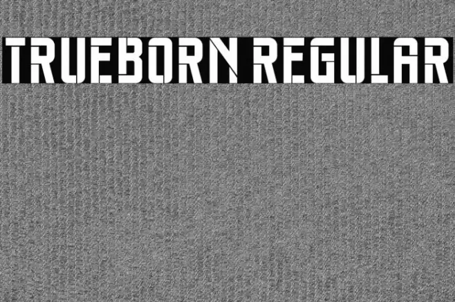 Trueborn Regular Font examples