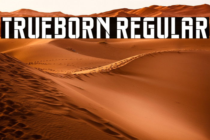 Trueborn Regular Example 3