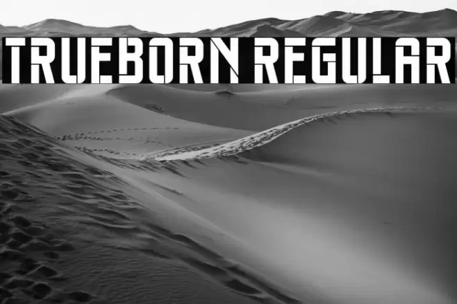 Trueborn Regular Font examples