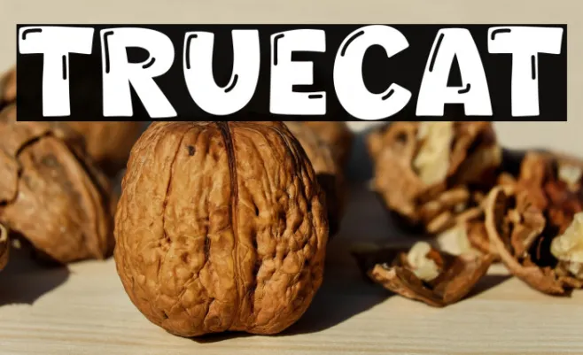 Truecat Example 1