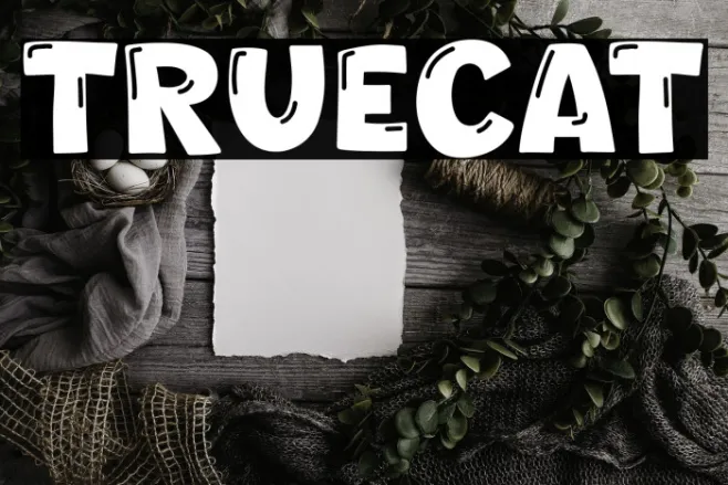 Truecat Example 2