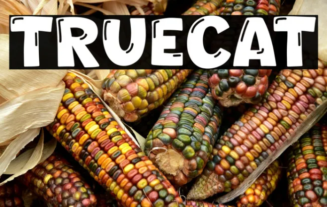 Truecat Example 3