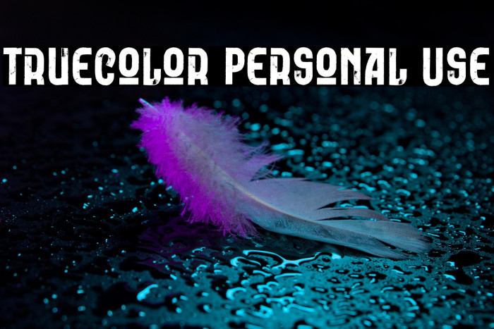 Truecolor Personal Use Example 1