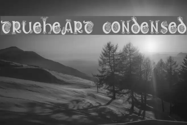 Trueheart Condensed Font examples