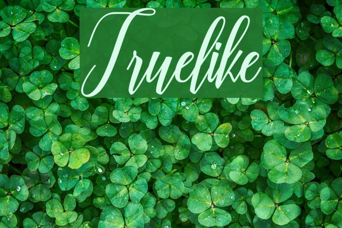 Truelike Font examples