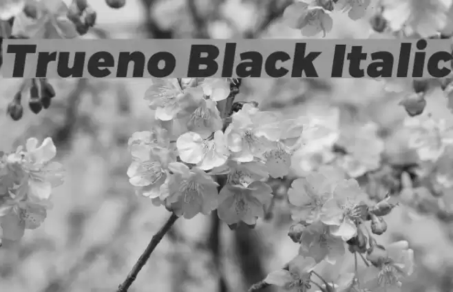 Trueno Black Italic Font examples