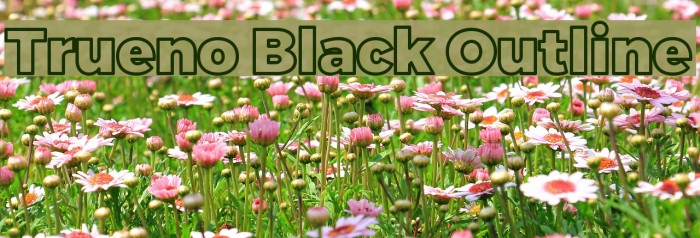 Trueno Black Outline Font examples