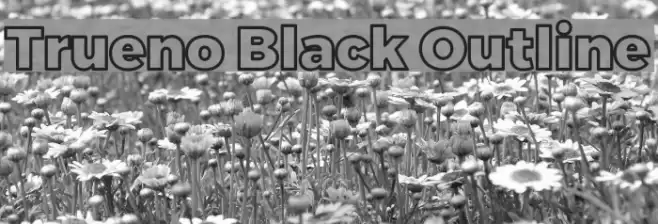 Trueno Black Outline Font examples