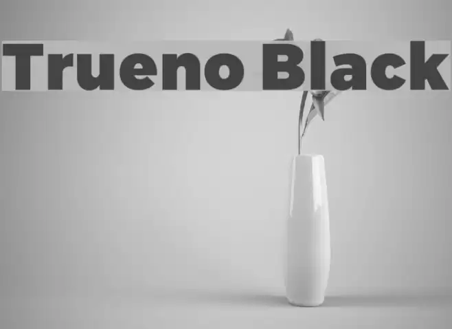 Trueno Black Font examples