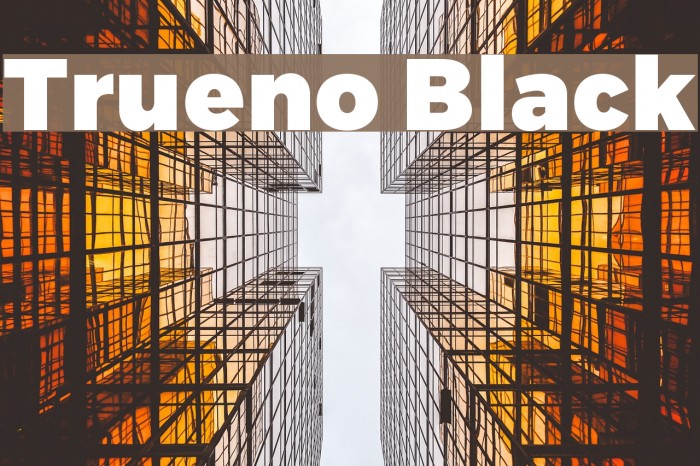 Trueno Black Font examples