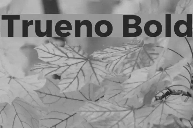 Trueno Bold Font examples