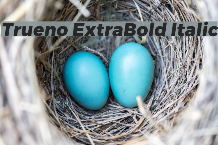 Trueno ExtraBold Italic Font examples