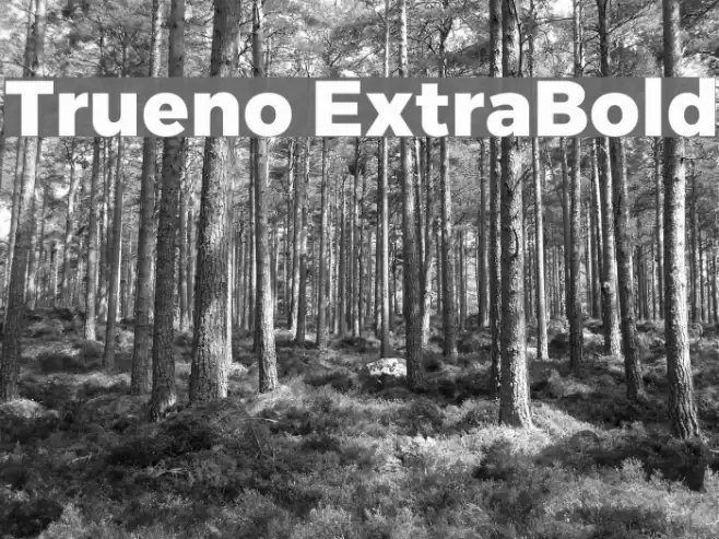 Trueno ExtraBold フォント examples