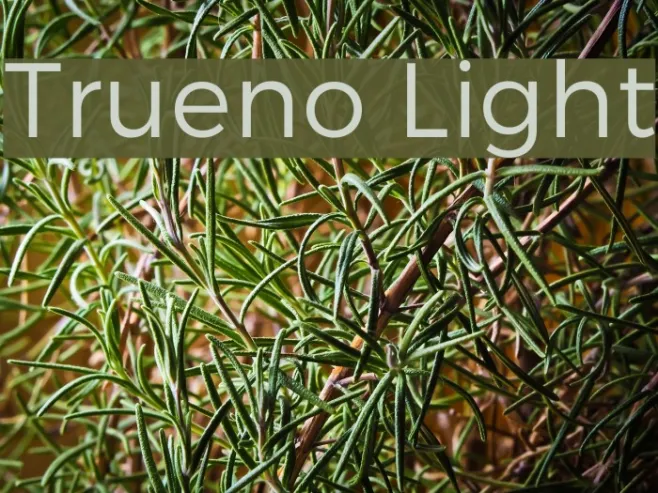 Trueno Light Example 1
