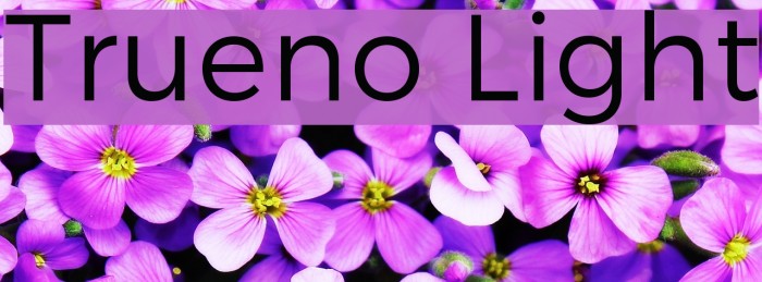 Trueno Light Font examples