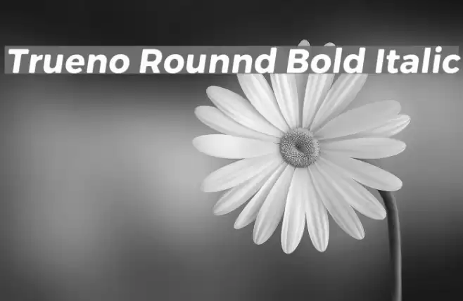 Trueno Rounnd Bold Italic  examples