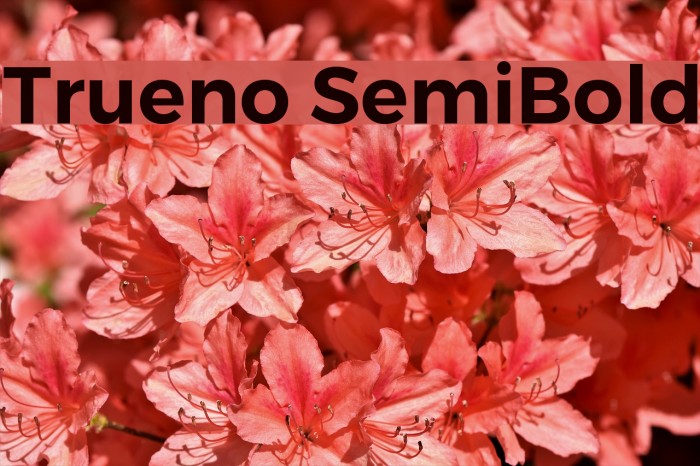 Trueno SemiBold Schriftart examples