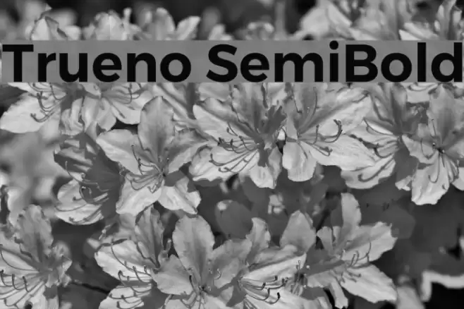 Trueno SemiBold Schriftart examples
