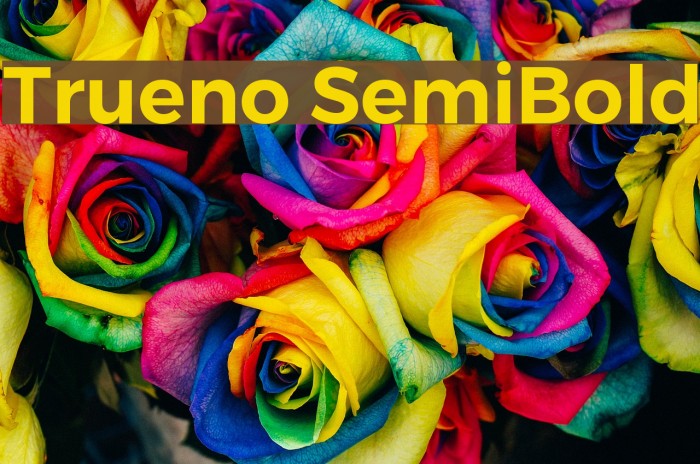 Trueno SemiBold Schriftart examples