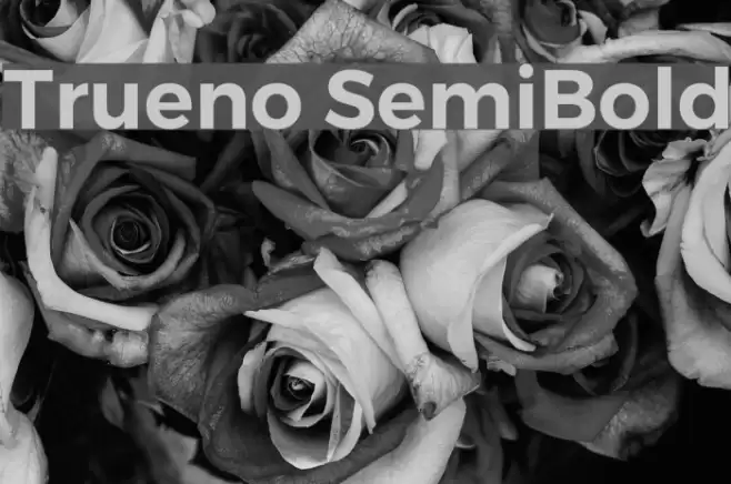 Trueno SemiBold Schriftart examples