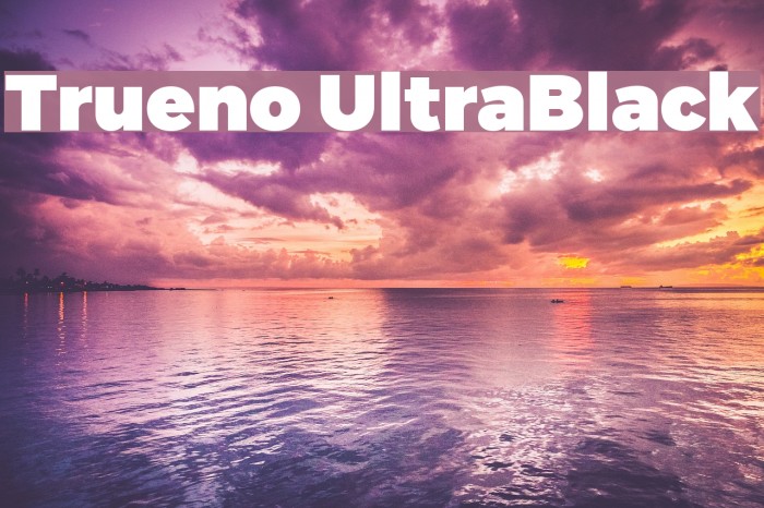 Trueno UltraBlack Font examples