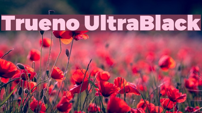 Trueno UltraBlack Font examples