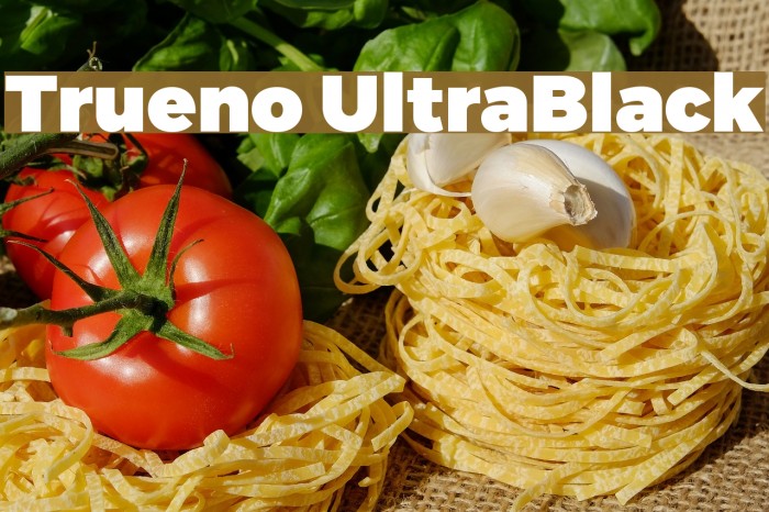 Trueno UltraBlack Font examples