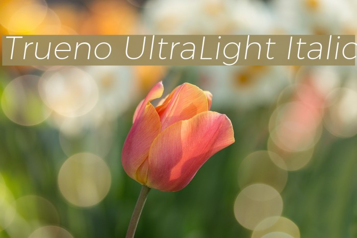 Trueno UltraLight Italic Font examples