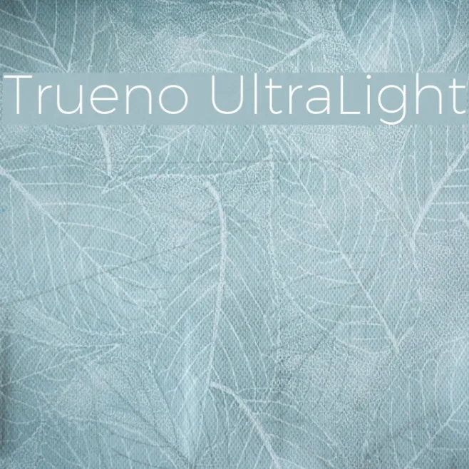 Trueno UltraLight Example 2