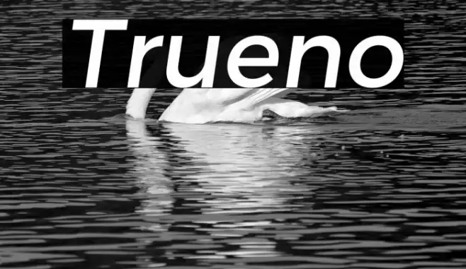 Trueno  examples