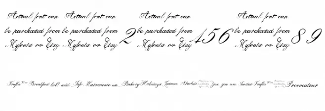 Trufla Words Font OTHER CHARS