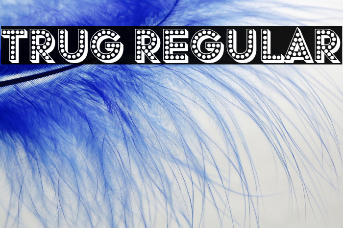 Trug Regular Example 1