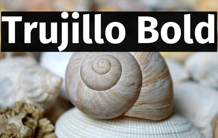 Trujillo Bold Example 1