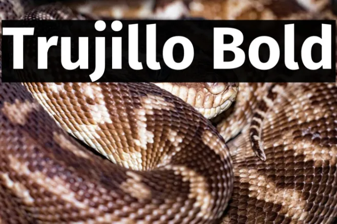 Trujillo Bold Example 2