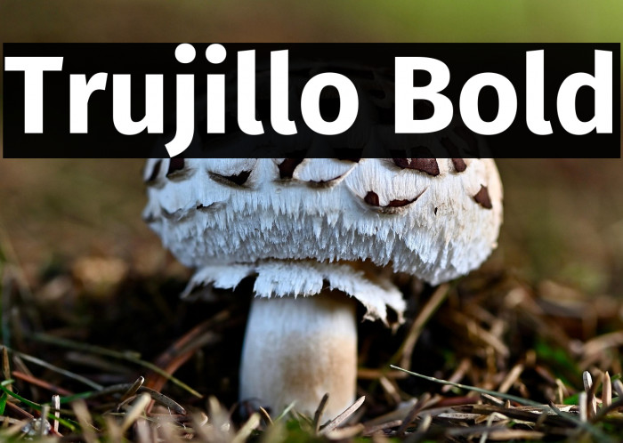 Trujillo Bold Example 3