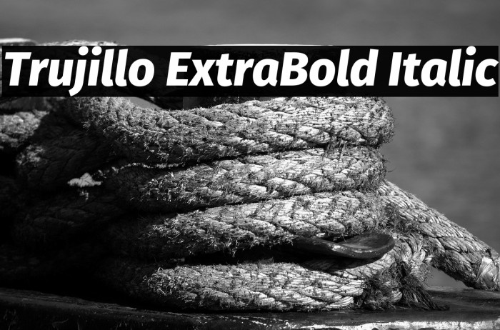 Trujillo ExtraBold Italic Example 1