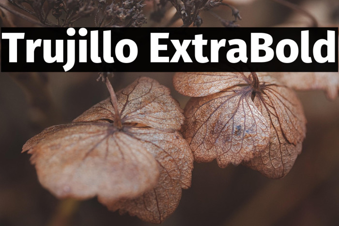 Trujillo ExtraBold Example 3