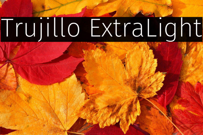 Trujillo ExtraLight Example 3