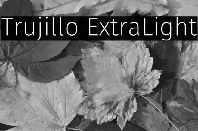 Trujillo ExtraLight Font examples