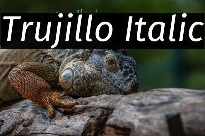 Trujillo Italic Example 2