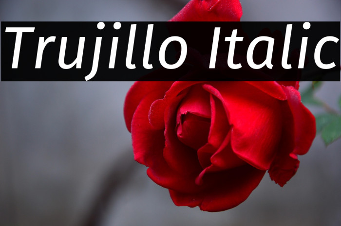 Trujillo Italic Example 3