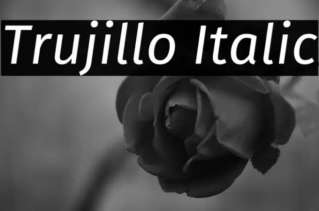 Trujillo Italic Font examples