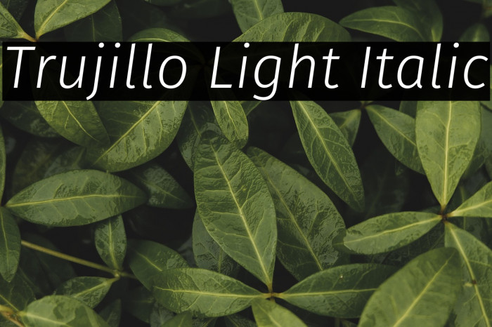 Trujillo Light Italic Example 2