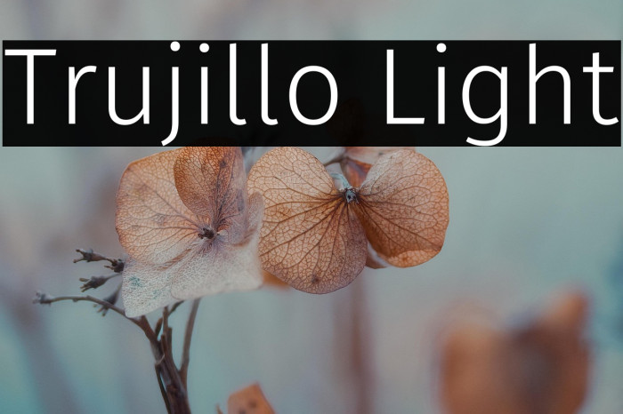 Trujillo Light Example 1