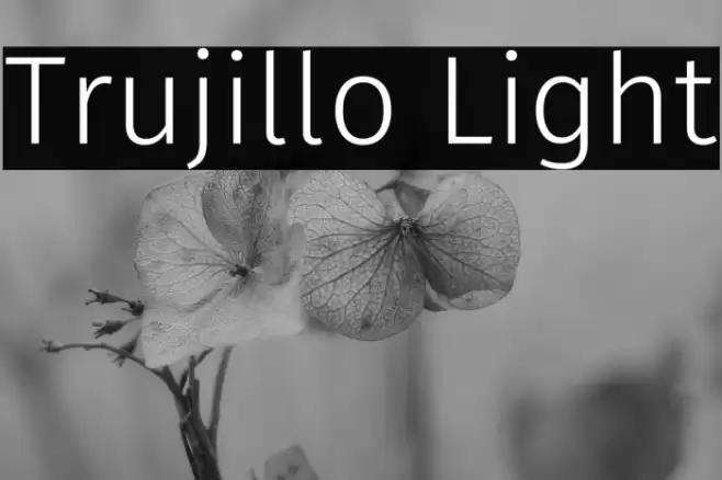 Trujillo Light Font examples