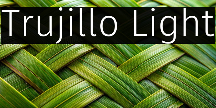 Trujillo Light Example 2